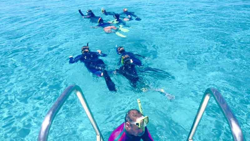 Join Mission Beach Dive for an exciting day cruise and snorkeling adventure at the incredible Outer Great Barrier Reef.